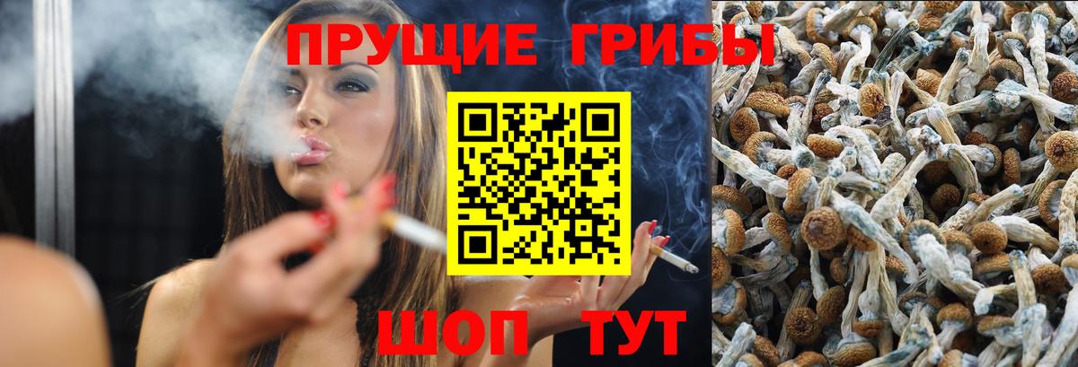 Гуково  Галлюциногенные грибы Psilocybine cubensis  Вход с VPN 