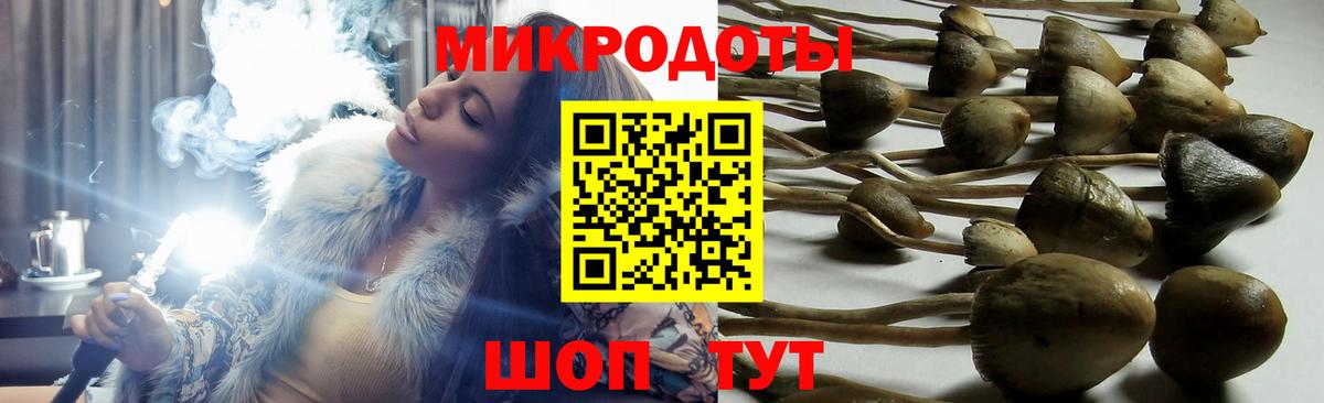 Псилоцибиновые грибы MAGIC MUSHROOMS Гуково